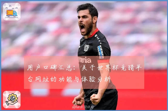 用户口碑汇总：关于世界杯竞猜平台网址的功能与体验分析