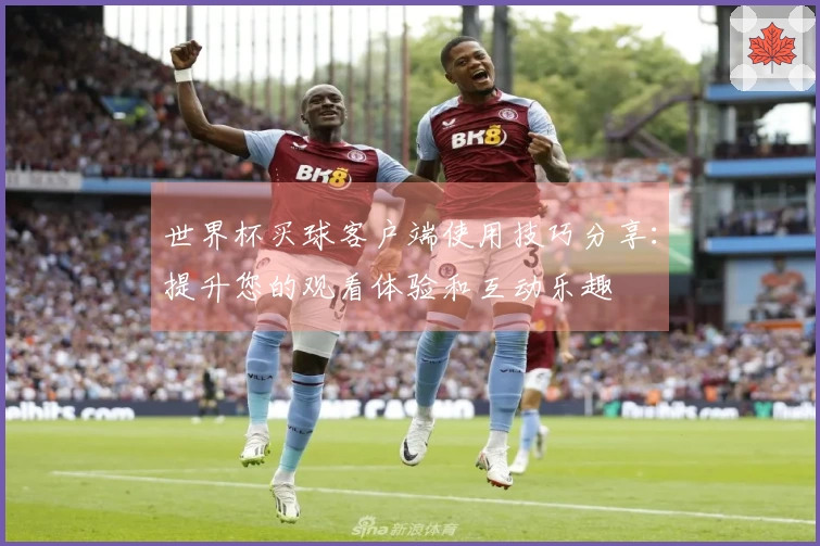 世界杯买球客户端使用技巧分享：提升您的观看体验和互动乐趣